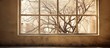 Tree branches extending out of a courtyard window
