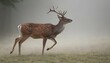 A Deer With Mist Swirling Around Its Hooves Upscaled