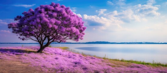 Poster - purple tree in a field by a lake