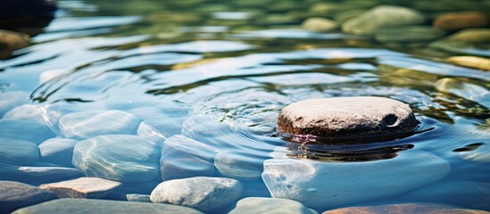 Canvas Print - Rock with Embedded Stone in Water Close-up