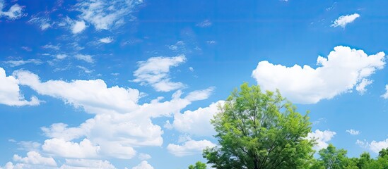 Poster - cows grazing in field under beautiful sky
