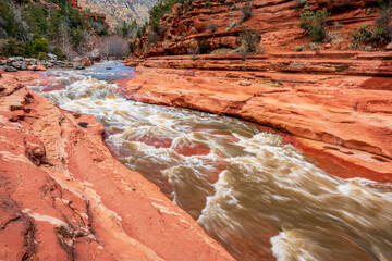 Wall Mural - Oak Creek flows through red rocks near Sedona Arizona