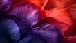 Abstract Colorful Petal Textures