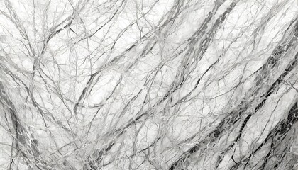 Poster - detailed white or gray marble texture patterns abstract background