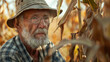 Old farmer examining corn plant in field