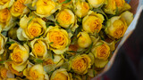 Fototapeta  - bouquet of yellow roses