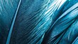 blue feathers with visible details background or texture