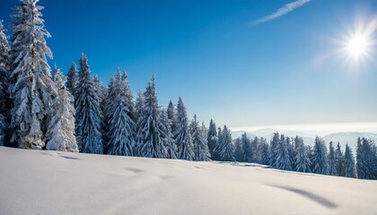 Wall Mural - winter background of snow and frost with landscape of forest