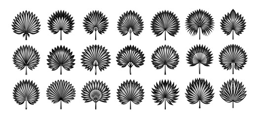 Hand drawn detailed fan palm leaf silhouette design set