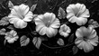  a black and white photo of flowers on a black and white photo of flowers on a black and white photo of flowers on a black and white photo of flowers on a black background.