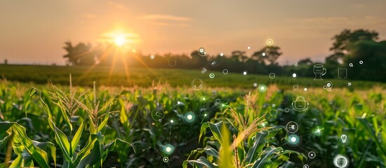 Modern smart agriculture concept. Enhanced agriculture with 5G smart farming systems.