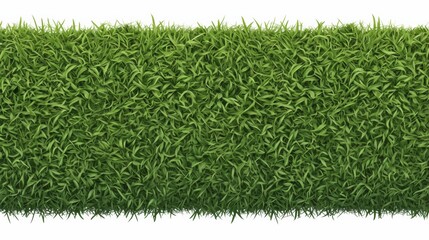 Wall Mural - Lush green grass hedge isolated on white background