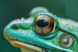 Close-Up Macro Photography of Vibrant Green Tree Frog with Dew on Skin and Detailed Eye Texture