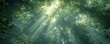 Craft a visually arresting graphic of a dense forest canopy seen from below, with shafts of sunlight piercing through the leaves This image should capture the essence of endurance and strength, emphas