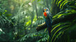 Rainforest birds, vibrant exposure, high saturation, focal lock