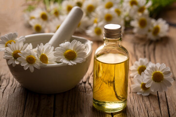 Wall Mural - Essential oil in glass bottle with fresh chamomile flowers, beauty treatment. Daisy oil.