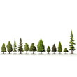 A row of trees with some of them being taller than others. The trees are all green and are lined up next to each other