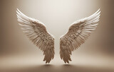 Fototapeta Łazienka - angel wings isolated