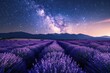 A magical night falls over lavender fields, with a starlit sky unfolding above, bridging the beauty of flora and the cosmos.