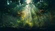 © CREATIVE STOCK - A green forest, the sun shines through the leaves, forming a colorful shadow, Forest Illsutration