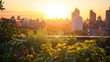 A lush rooftop garden overlooking a city, captured at sunrise. Plants and flowers bask in the golden light, 