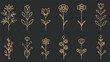 a set of golden flowers on a black background
