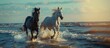 Graceful Equine Duo Galloping Along the Sandy Shoreline: A Majestic Black and White Horse Pair in Motion