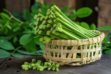 Discover The Nutritional Powerhouse Of Moringa Oleifera: The Versatile And Delicious Drumstick Vegetable
