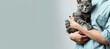 Veterinary clinic banner with veterinarian holding grey striped cat