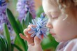 Close-up photo of a child gently touching a hyacinth flower.