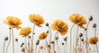 Flowers background. Yellow Poppy flowers pattern on white backdrop. Floral art. Poster