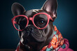Attractive looking French bulldog dog in a modern fashionable outfit: jacket, tie and glasses. Wide banner with space for text. Elegant animal posing as a supermodel