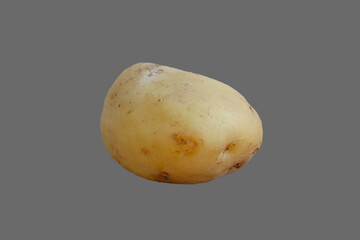 Tuber, root of potato vegetable.