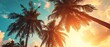 © Lidok_L - Transport yourself to a serene oasis with this vintage-inspired image capturing the beauty of palm trees against a backdrop of a stunning sunset