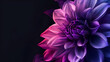 Purple Iris With Water Droplets, Some Water Droplets Are In The Shape of Hearts Surreal dark chrome pink and purple flower dahlia macro isolated on black, Generative Ai