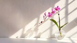 Fototapeta  - Sprig of purple orchid in transparent vase on white background with bright lighting, copy space, horizontal photo. Flower silhouette and blurred shadow mesh on wall. Orchidaceae, minimalist aesthetic