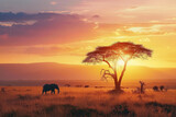 Fototapeta Sawanna - Landscape of Africa with warm sunset, beautiful nature