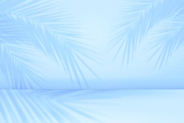 Wall Mural - tropical palm leaf shadow on blue studio background concrete wall room with flat lay floor display f