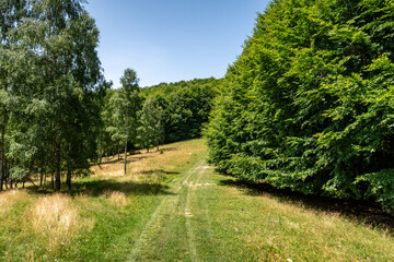 Wall Mural - The Landscape of the Carpathian Mountains in Romania