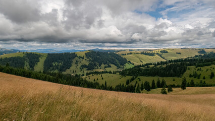 Wall Mural - The Landscape of the Carpathian Mountains in Romania