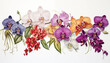 exotic Orchids showcasing