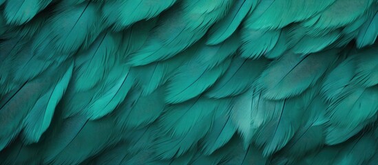  Green plumage details of a bird against dark backdrop