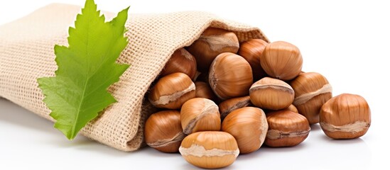 Poster - A bag of nuts with a leaf on top