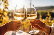 © Helios4Eos - Two hands holding wine glasses in the act of toasting in a vineyard landscape.
