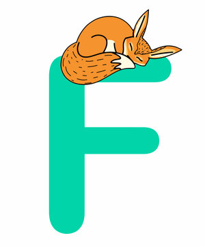 The capital letter of the English alphabet with a picture from the Alphabet set for children. Vector on a white background.