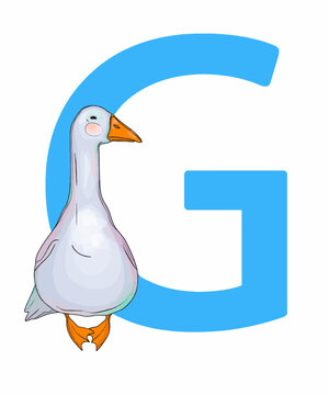 The capital letter of the English alphabet with a picture from the Alphabet set for children. Vector on a white background.