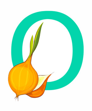 The capital letter of the English alphabet with a picture from the Alphabet set for children. Vector on a white background.