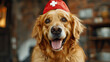 happy cute golden retriever in a red medical cap with a cross, Red Cross day, banner