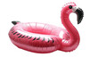 © Sofiia Bakh - inflatable flamingo on a transparent background
