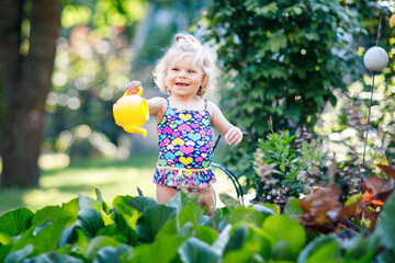 Wall Mural - Cute little baby girl in colorful swimsuit watering plants and blossoming flowers in domestic garden on hot summer day. Adorable toddler child having fun with playing with water and ca